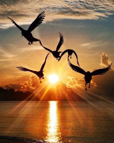 167531734_1833766170122920_896961630670760315_n