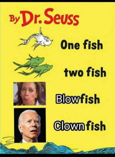 19:39:51 GMT-0600 (CST)