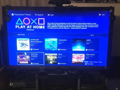 PlayStation Stay At Home Program