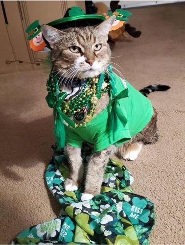 07:53:59 GMT-0400 (EDT)