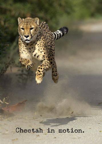 13346783_10204742998455002_2368664485036649560_n