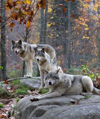 167219544_1544854962380515_8907744771067020350_n