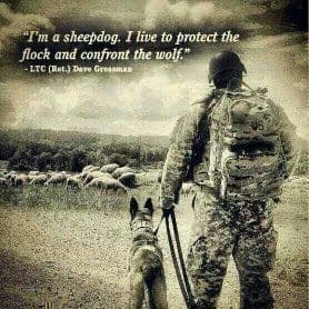 sheepdogandsoldierphoto