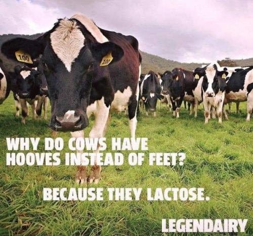 18:33:00 GMT-0400 (EDT)