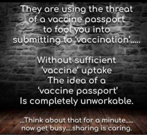 Uf7knKlWrOv5E7QNzVAi_16_0719b74a1092aa549a3a87e7fce3b60f_image