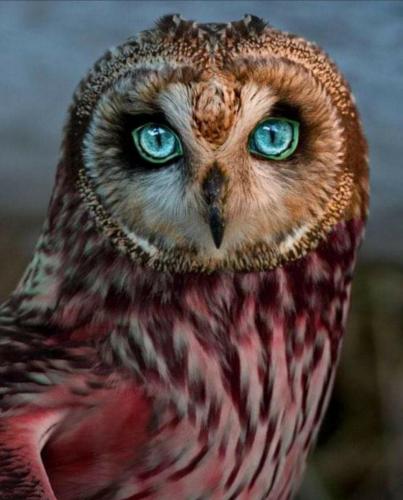 06:28:51 GMT-0500 (CDT)