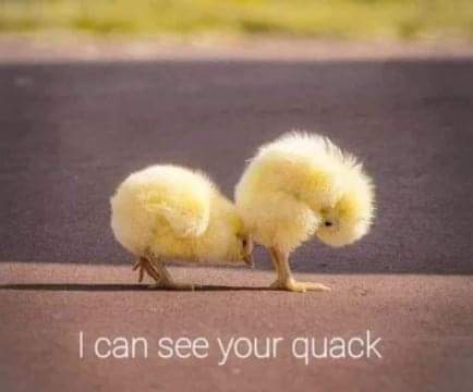 20:28:20 GMT-0700 (PDT)