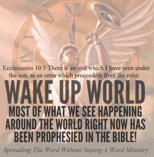 9c423bf19fc44a9291326f037277b597