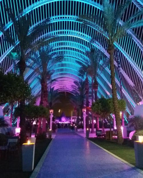 16:15:19 GMT+0100 (WAT)