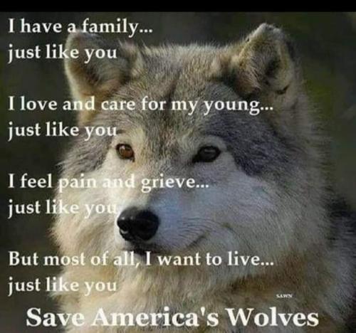 19:41:47 GMT-0600 (CST)