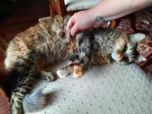 11:06:53 GMT-0500 (CDT)