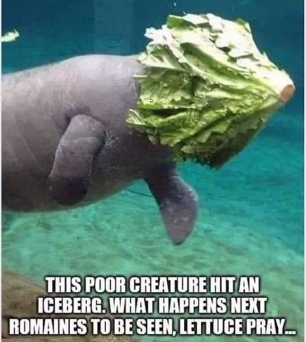 16:55:33 GMT-0500 (EST)