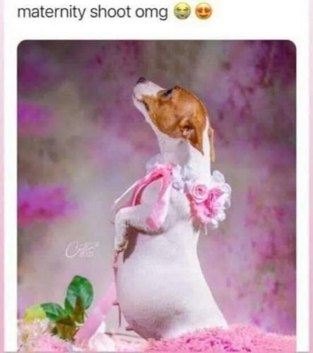 03:42:36 GMT-0400 (EDT)