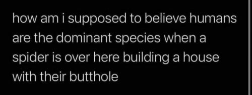 18:56:21 GMT-0500 (CDT)