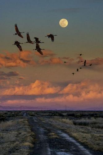 19:33:08 GMT-0600 (CST)