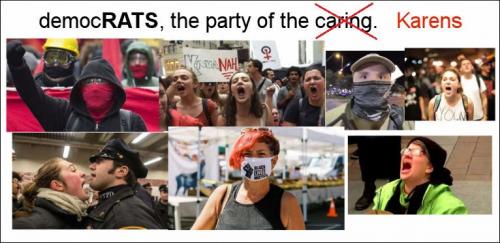 democrats411