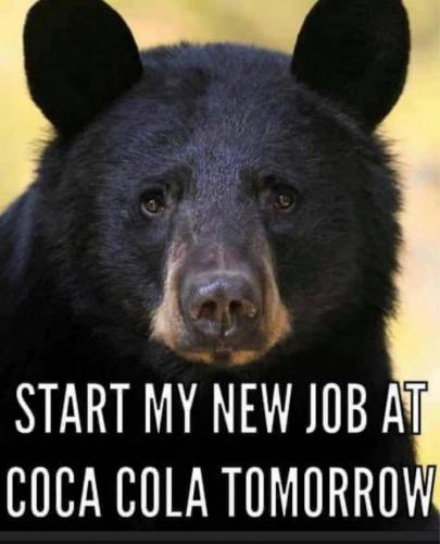 18:51:12 GMT-0500 (EST)