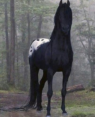 166635282_1832367913596079_6704351312545333858_n