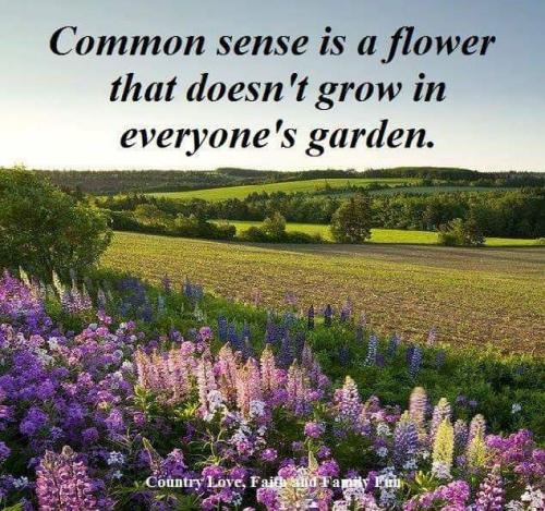 11:58:58 GMT-0400 (EDT)