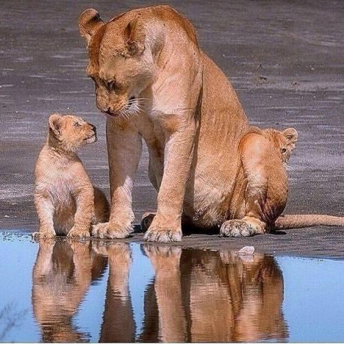 165801837_1830496140449923_3469003057348841583_n