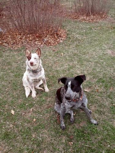 22:22:05 GMT-0500 (CDT)