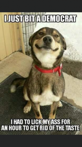 21:18:33 GMT-0400 (EDT).image