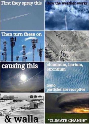 3F121DB8-F73E-4B76-BA4F-F71C0F6F6B65