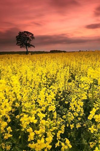 20:41:32 GMT-0500 (CDT)