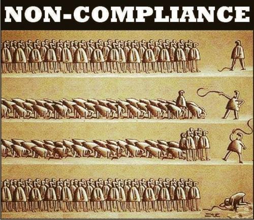 6C846C67-969F-4628-815F-4A992682DD4C