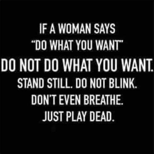 15:03:41 GMT-0400 (EDT)