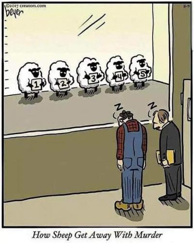 15:14:56 GMT-0600 (CST)