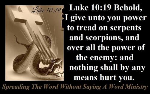 47580350_2077964585618995_1600590111987204096_o