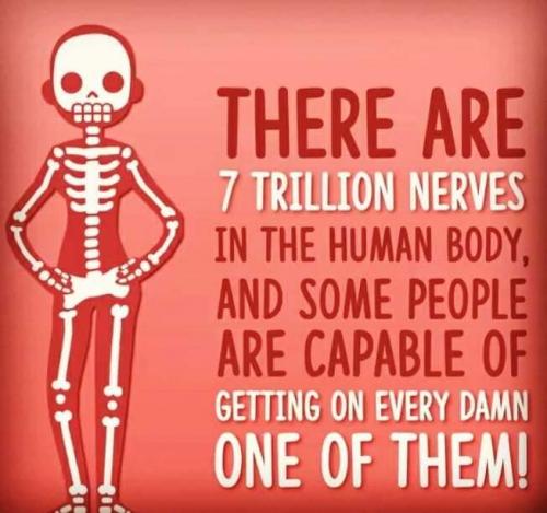 15:56:10 GMT-0500 (EST)