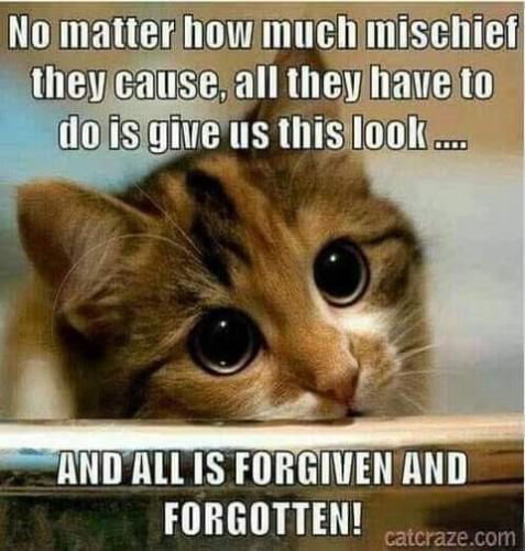 21:15:56 GMT-0800 (PST)