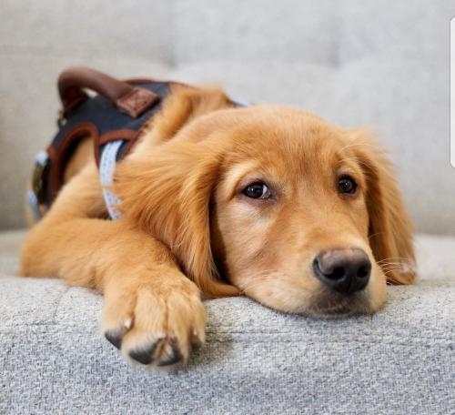 08:13:57 GMT+0100 (WAT)