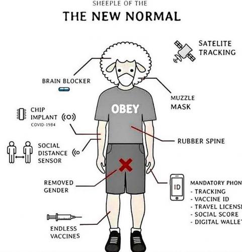 1BA0D197-0D01-4619-AD75-0A3DB2990022