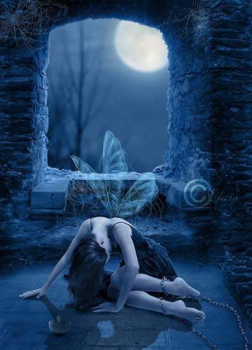 13775791_10205020783319450_3136910480402334257_n