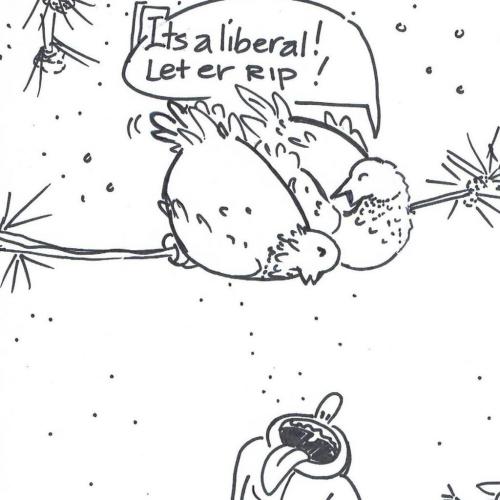 15975058_386711335005463_8539909177284753312_o