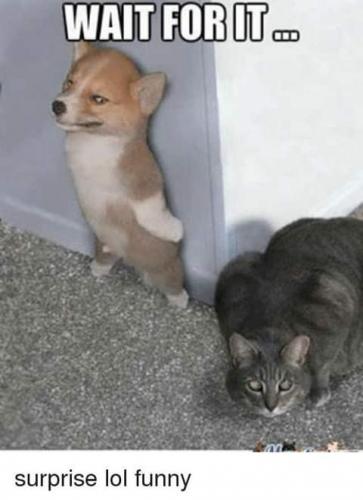 20:54:24 GMT-0700 (PDT)