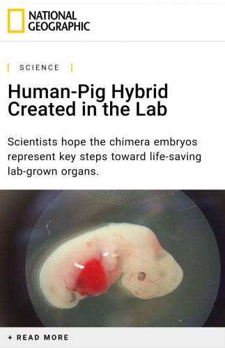 AE646DFE-90ED-4A35-9325-A16428DA0F13