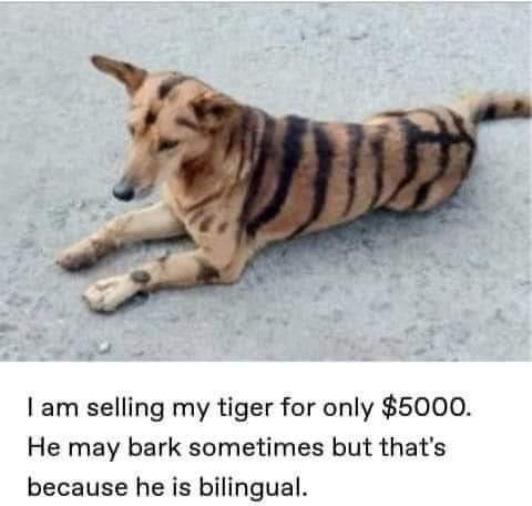 16:01:41 GMT-0700 (PDT)