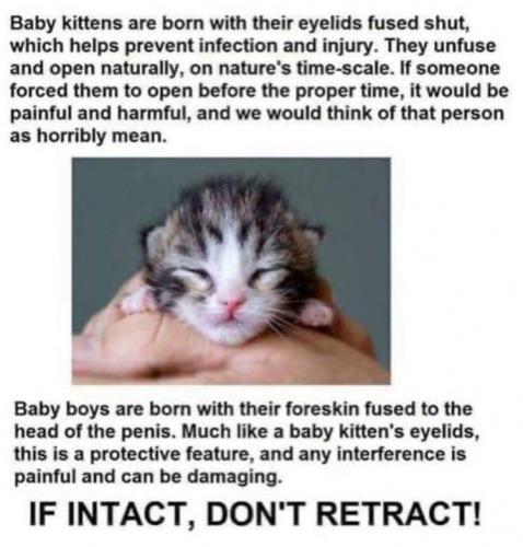 18:16:17 GMT-0400 (EDT).image