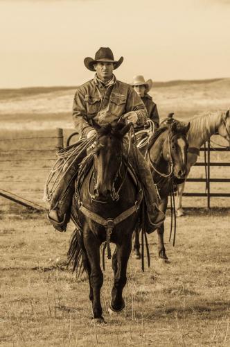 9711c7b220786ef3f38a3f6b26006ed6