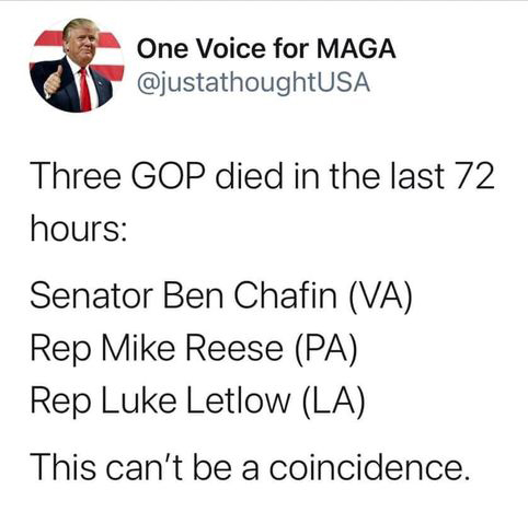 135668732_10226613407387637_1999925599300102571_n