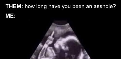 how long have you been an asshole
