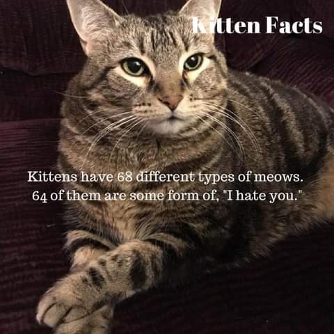 19:44:42 GMT-0700 (PDT)