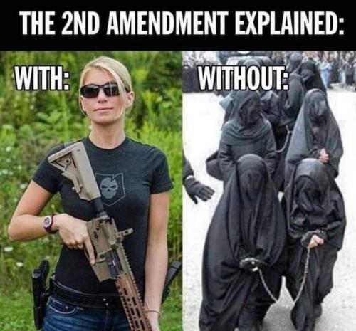 Protect our second amendment