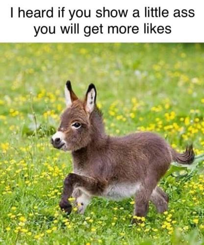 05:45:42 GMT-0400 (EDT)