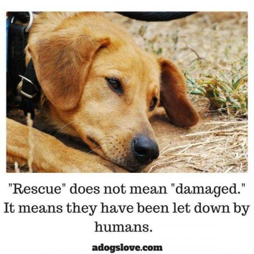 08:12:57 GMT-0500 (CDT)