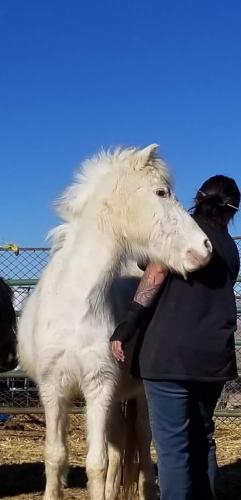 07:39:25 GMT-0800 (PST).image